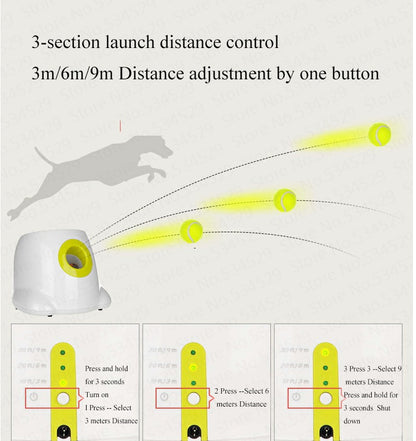 Interactieve balspel voor Hond - PrintnPaws