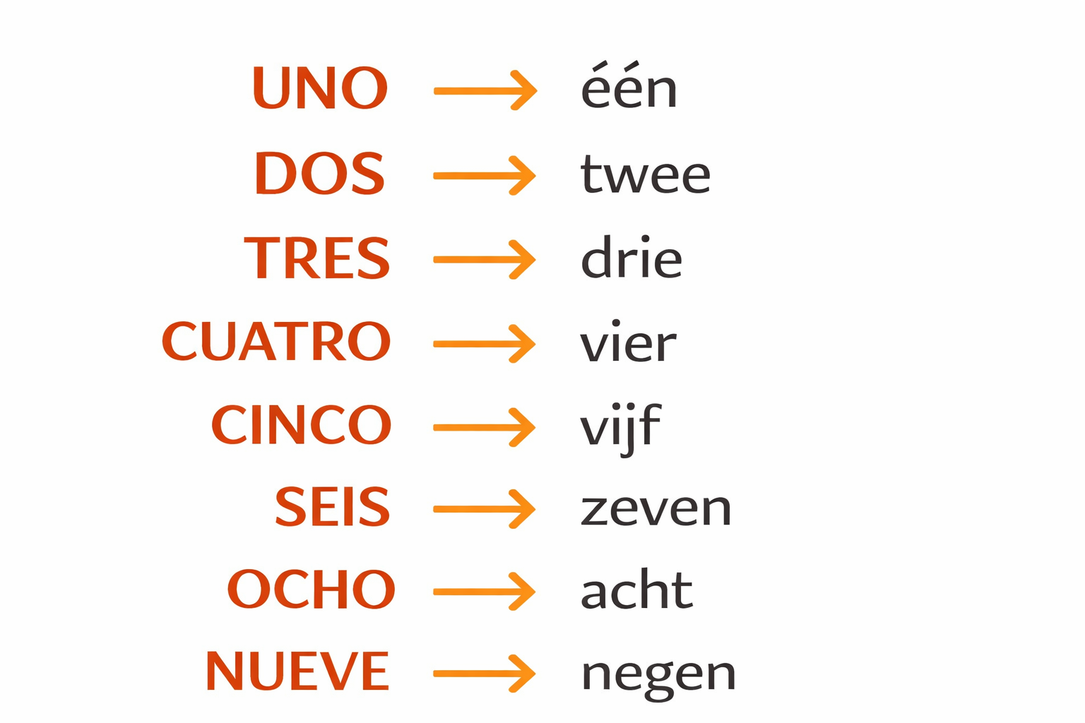 Spaans naar Vlaams - Taalspelletjes Boekje PDF - PrintnPaws