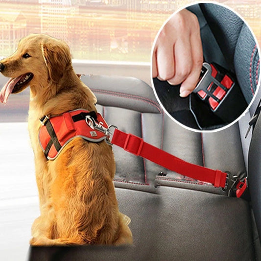 Aanpasbare halsband voor de wagen met bevestiging voor wagen! - PrintnPaws