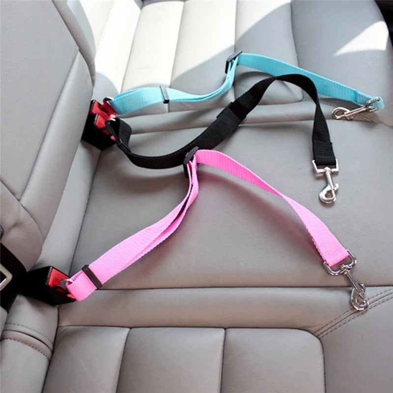 Aanpasbare halsband voor de wagen met bevestiging voor wagen! - PrintnPaws