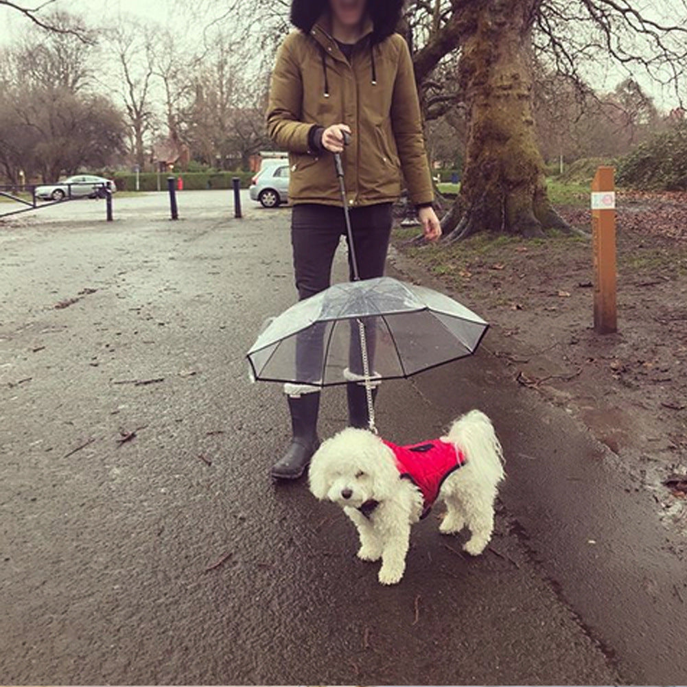 Dog's Transparent Umbrella With Traction Chain Removable Umbrella Pet Products - PrintnPaws