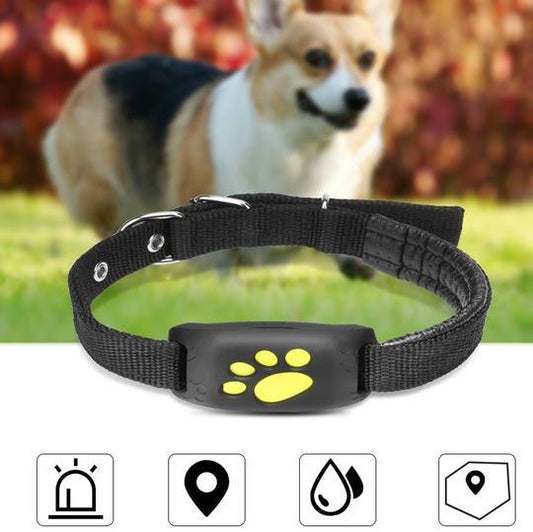 GPS Pet Tracker - PrintnPaws