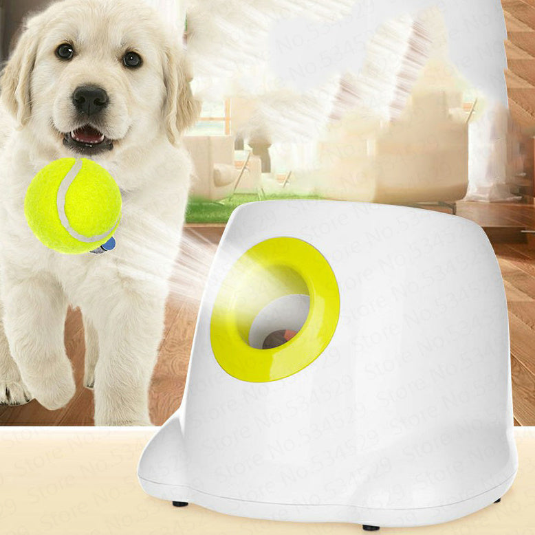 Interactieve balspel voor Hond - PrintnPaws