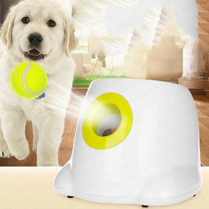 Interactieve balspel voor Hond - PrintnPaws